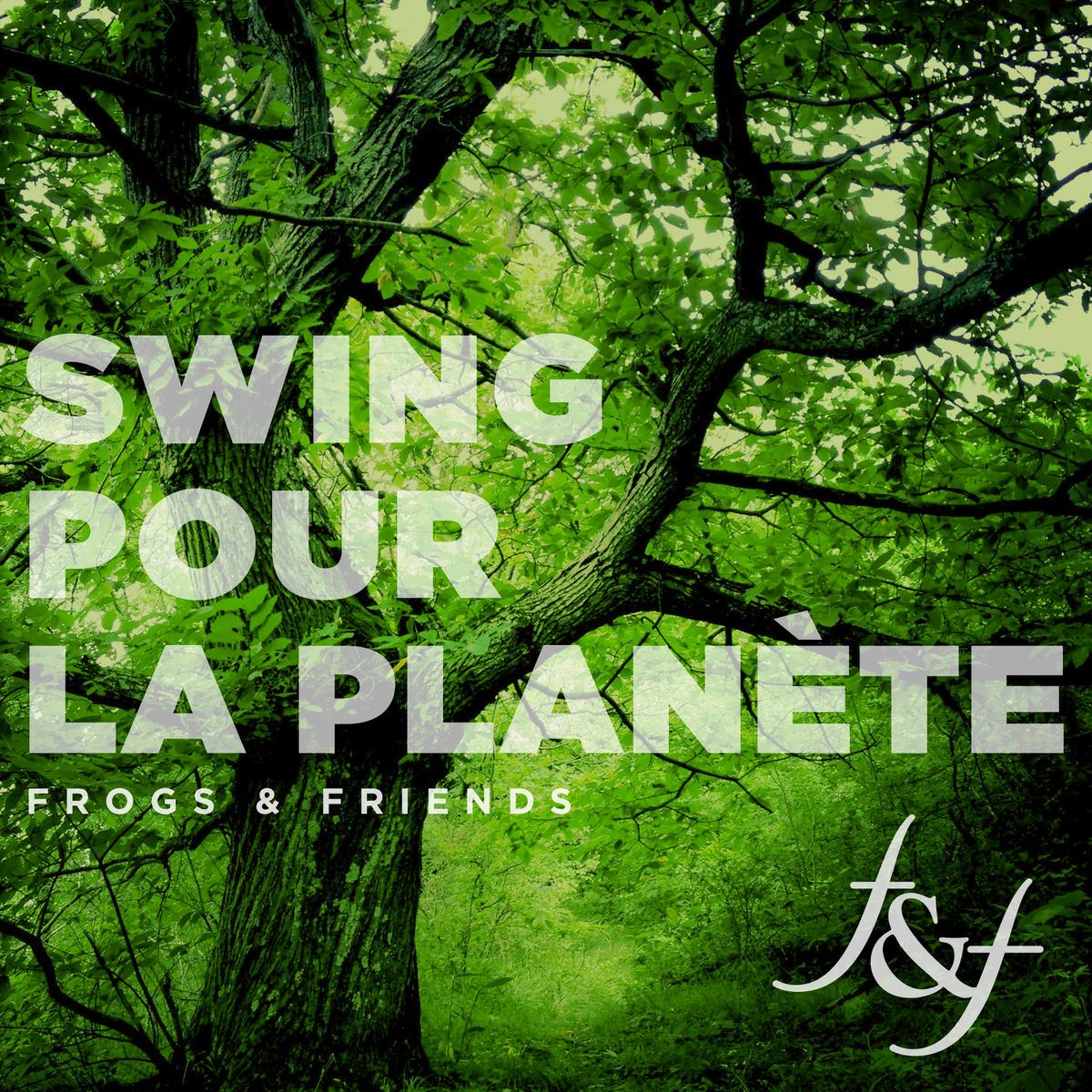 swing pour la planète